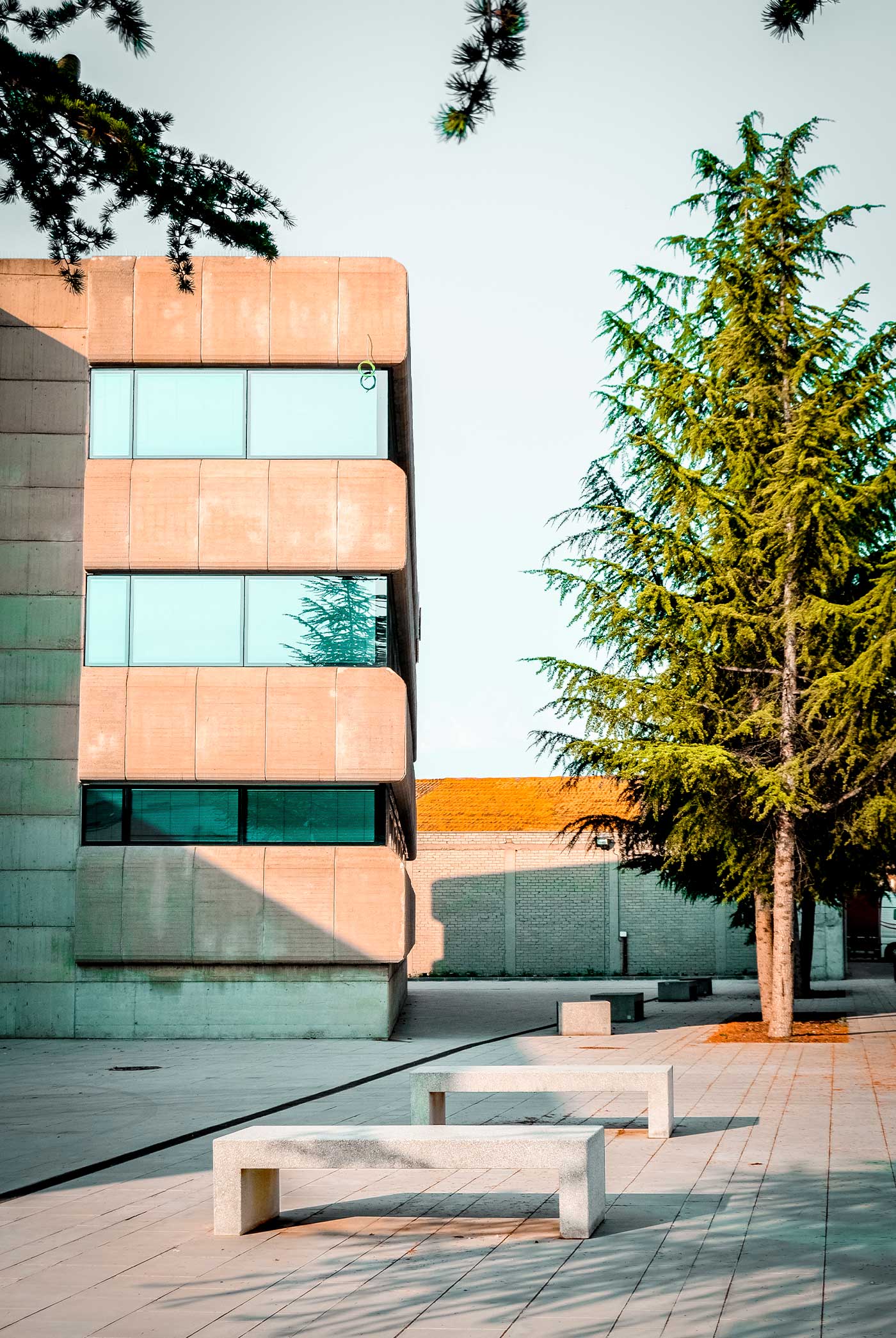 Benito Volga Concrete Bench