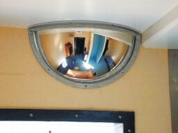 Institutional Mirror