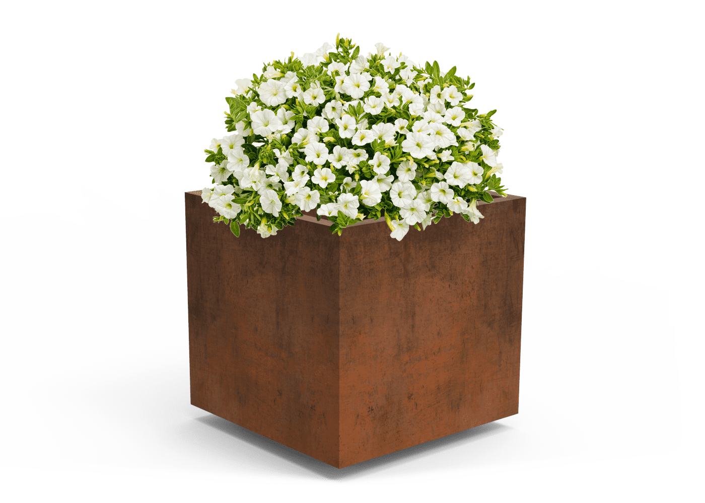 Benito Olea Corten Steel Planter - Square