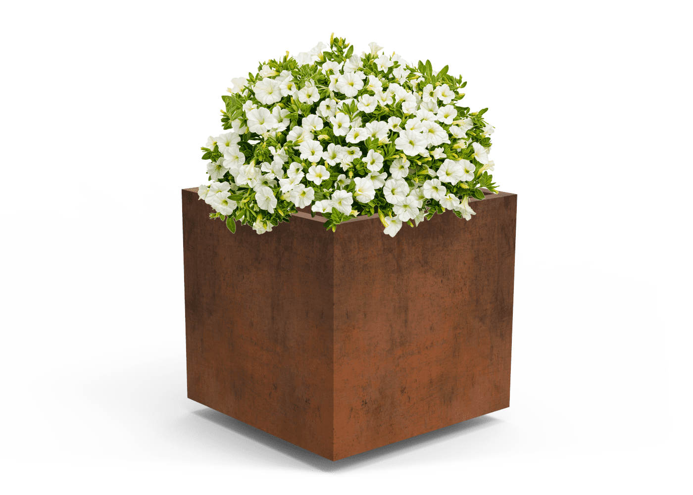 Benito Olea Corten Steel Planter