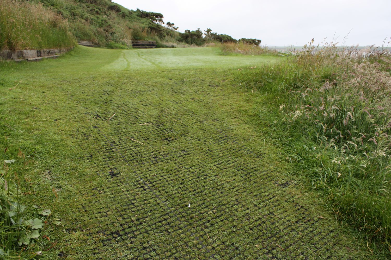 EASI Rubber Grass Matting - 10 Metre Roll