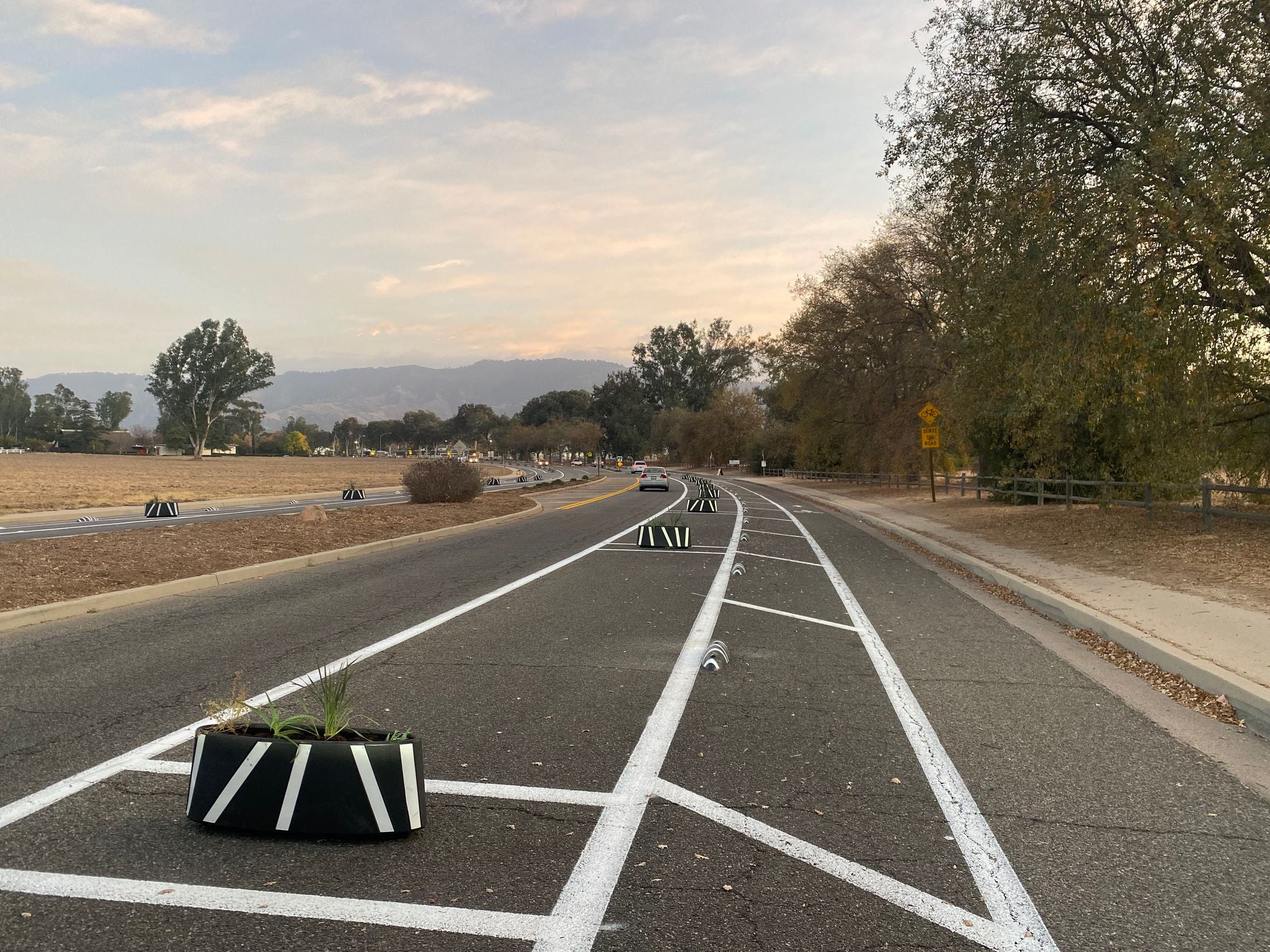 Zebra® | Planter Cycle Lane Separator