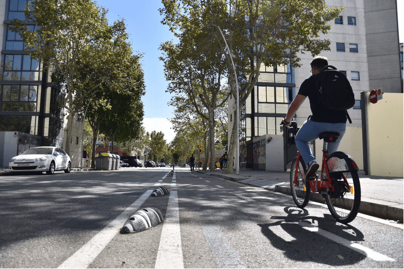 Zebra® | Zero Bicycle Lane Separator