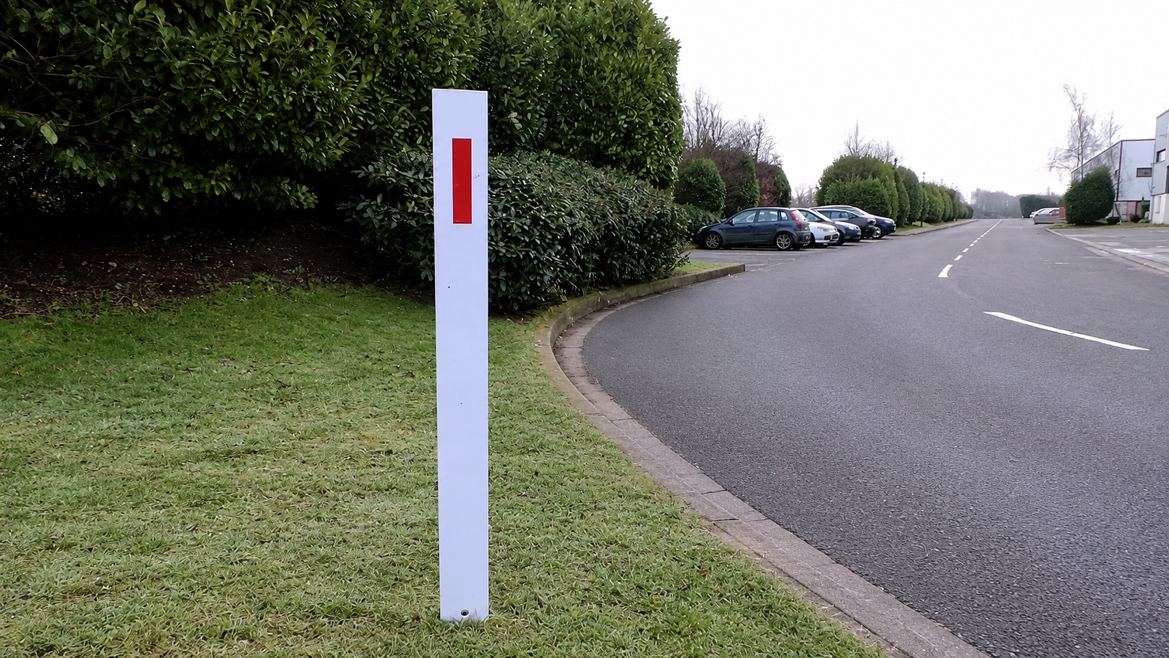 Verge Posts