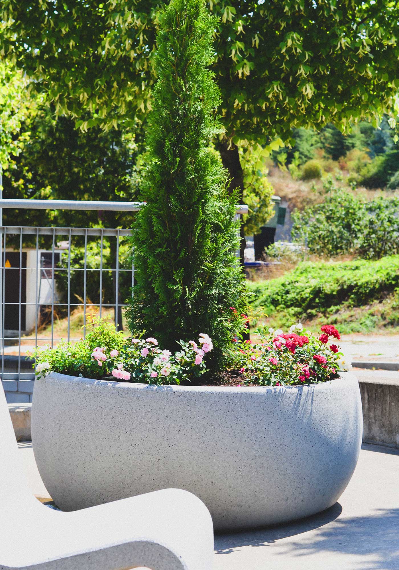 large plant pots ireland Benito Lisa Planter