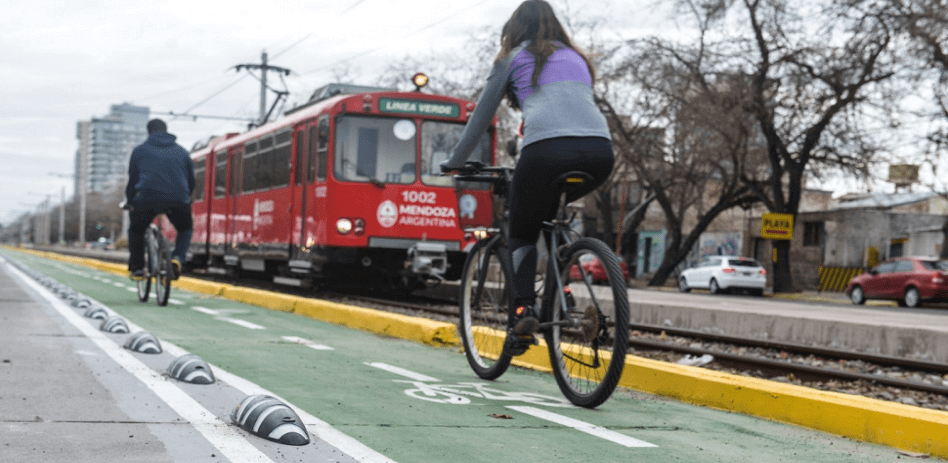 Zebra® | Zero Bicycle Lane Separator