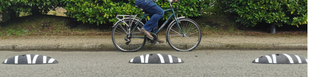 Zebra® | Zero Bicycle Lane Separator